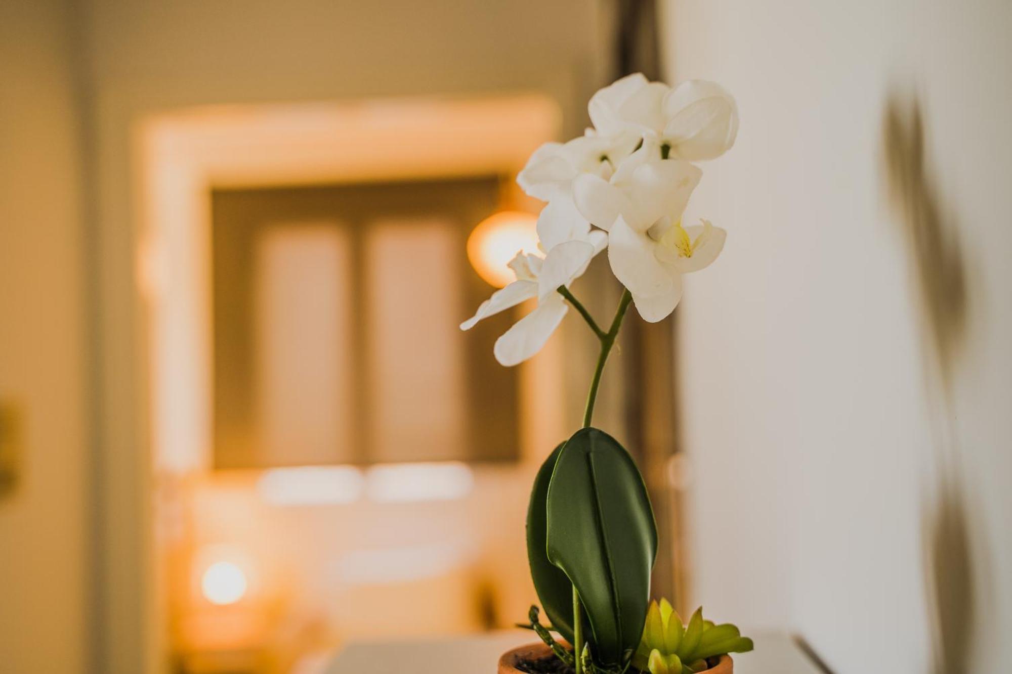Green Apartment Ground Floor Feel Like Home Properties Saronida ภายนอก รูปภาพ