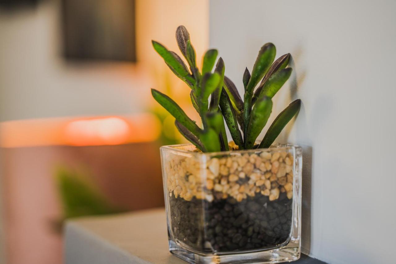 Green Apartment Ground Floor Feel Like Home Properties Saronida ภายนอก รูปภาพ